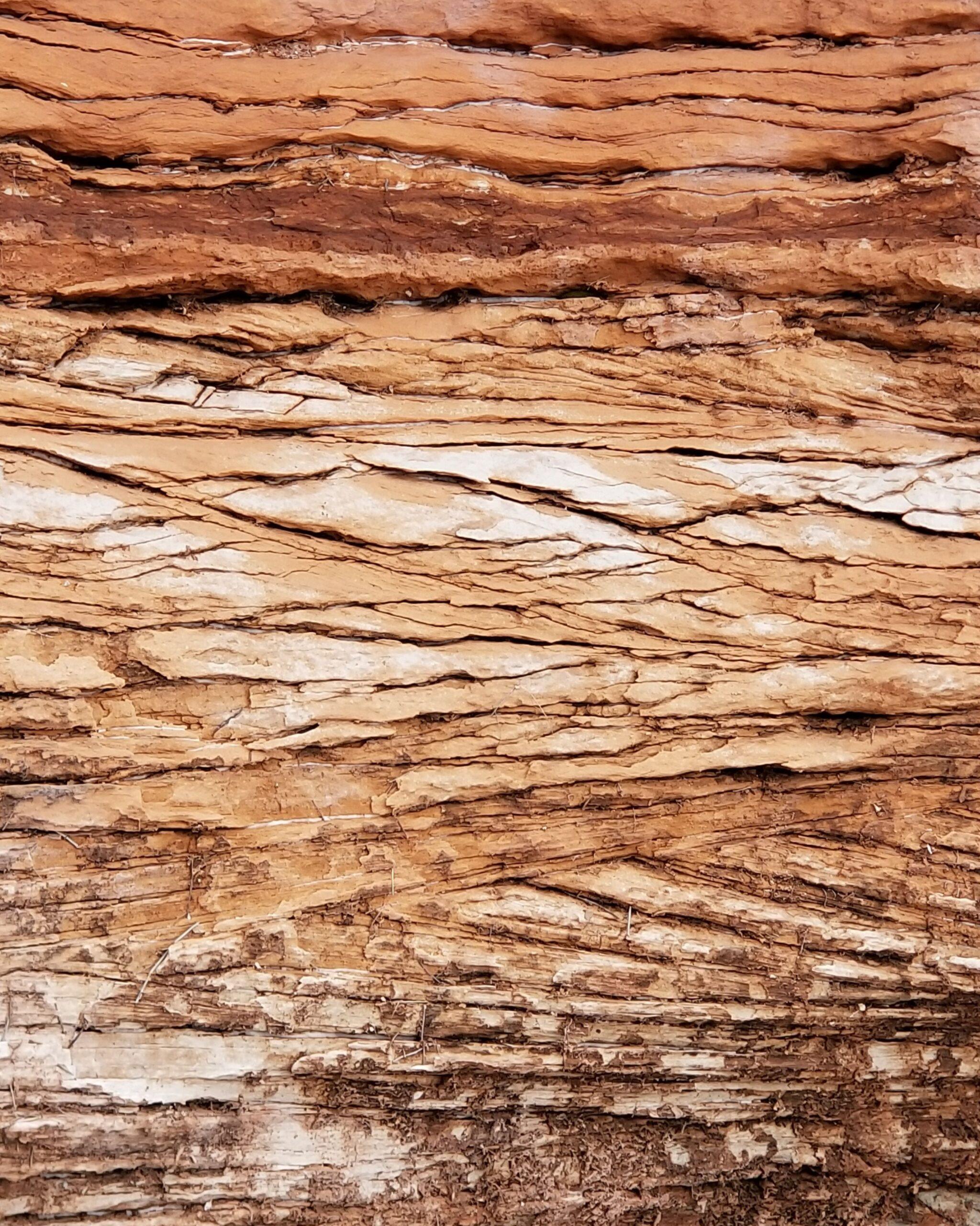 1666 Lane Ave. – Geotechnical Exploration, Jacksonville, FL