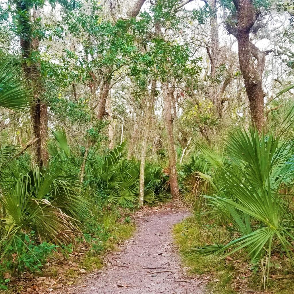 Anastasia State Park – Road & Parking Lot Pavement Evaluation, St. Augustine, FL