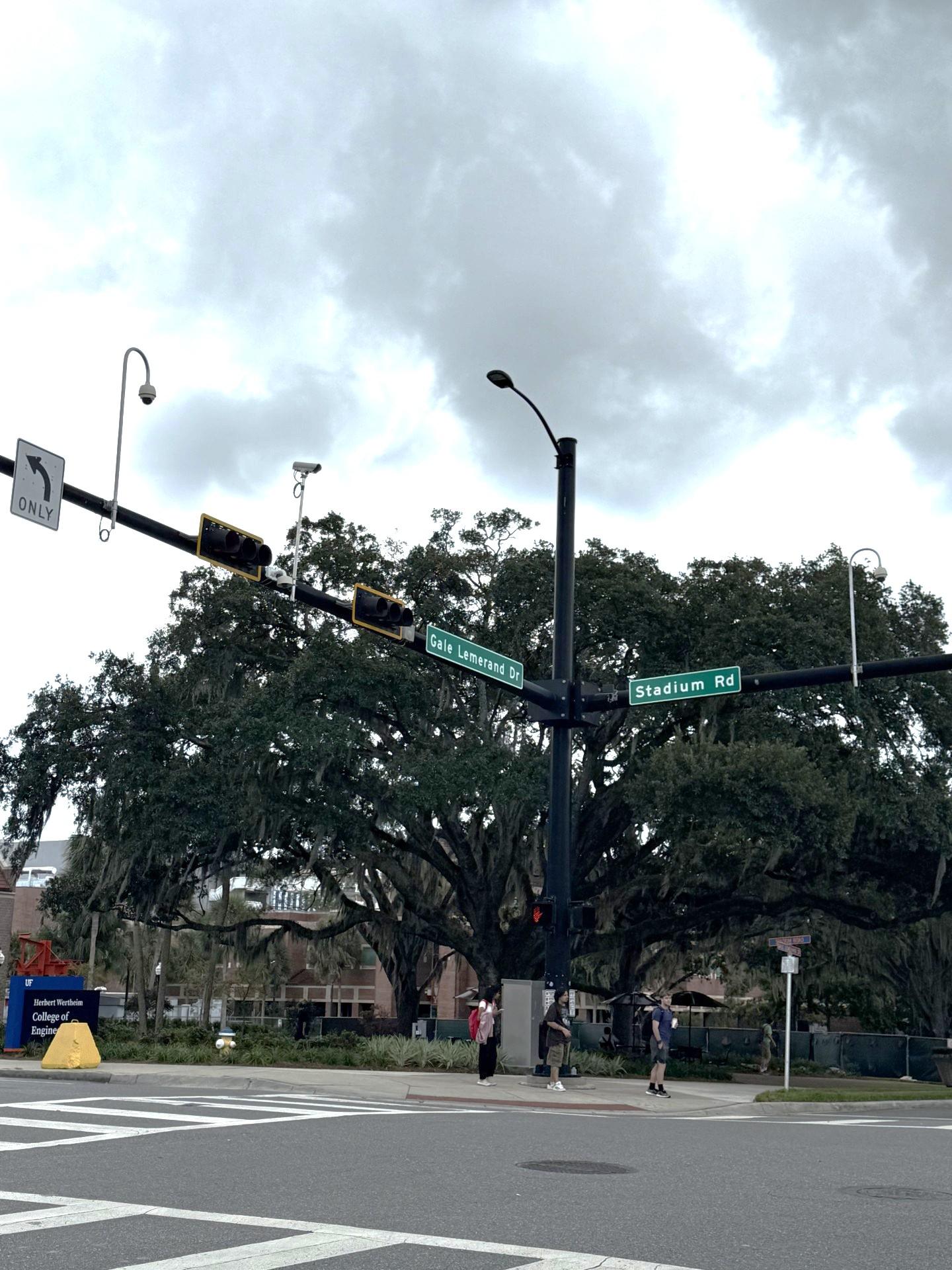 Gale Lemerand & Stadium Road (UF), Gainesville, FL